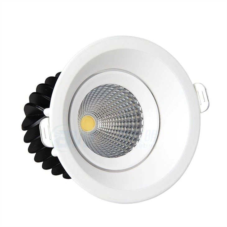 Chav Dej Qab Nthab LED Downlights