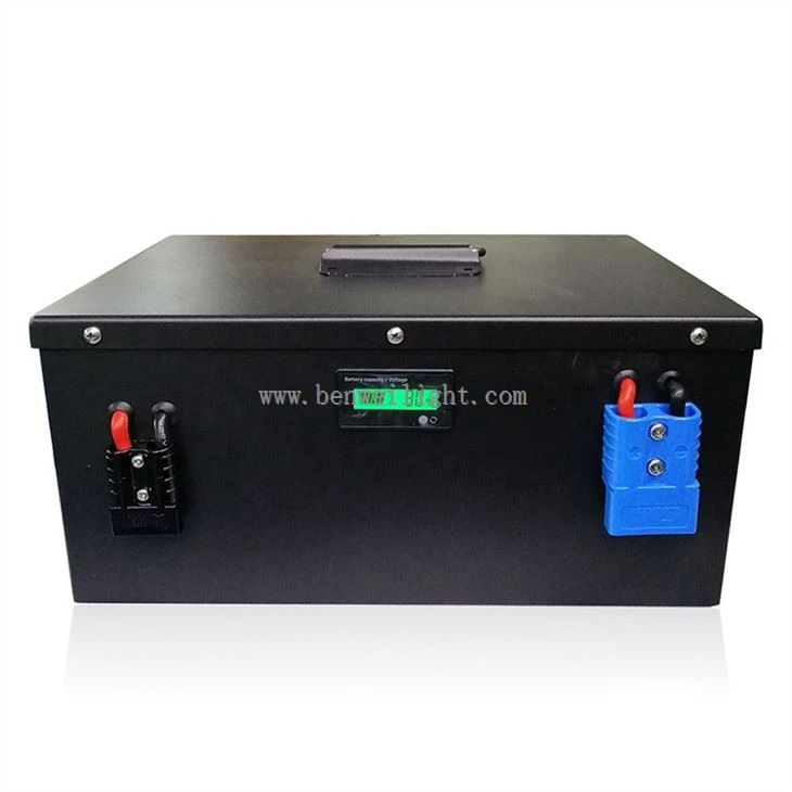 lion lithium battery