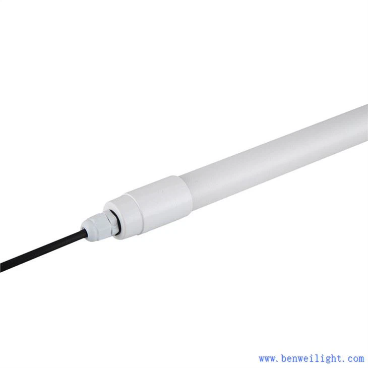 poultry light meter