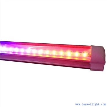 Led Grow Lights Rau cov nroj tsuag sab hauv tsev