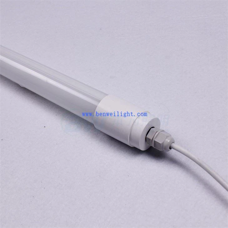 Lighting For Dairy Farming