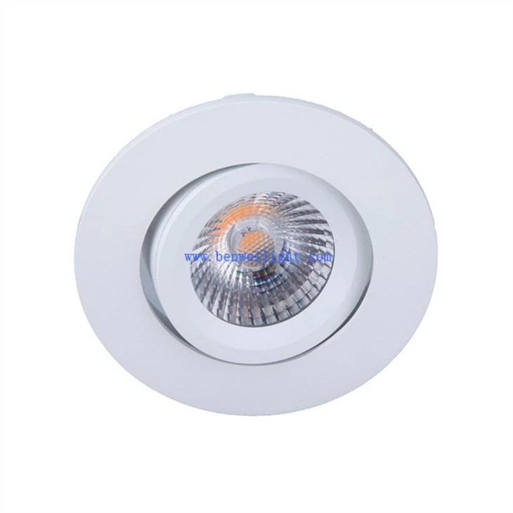 Tsawg Voltage Downlight