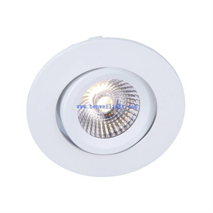 Robus Downlight