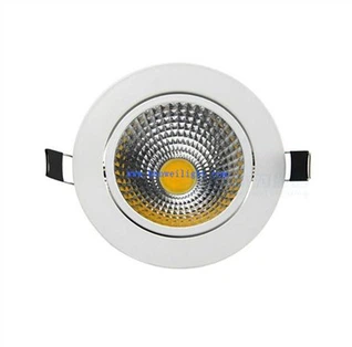 Eyeball Downlight