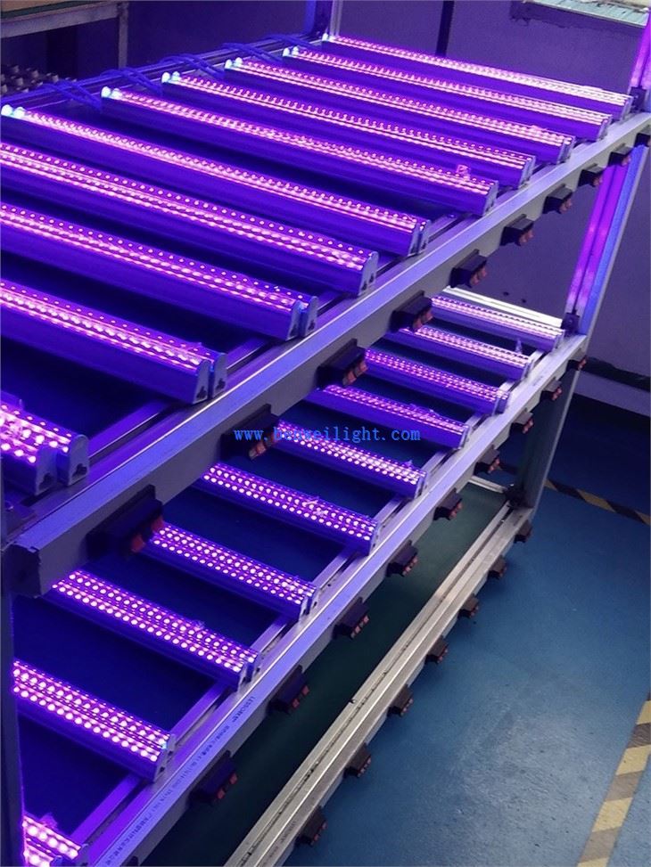 T8 Blacklight Tube