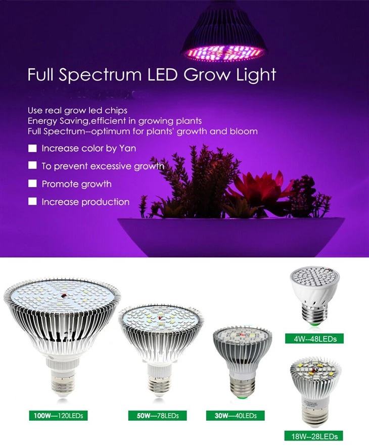 4W Led Grow Light 2