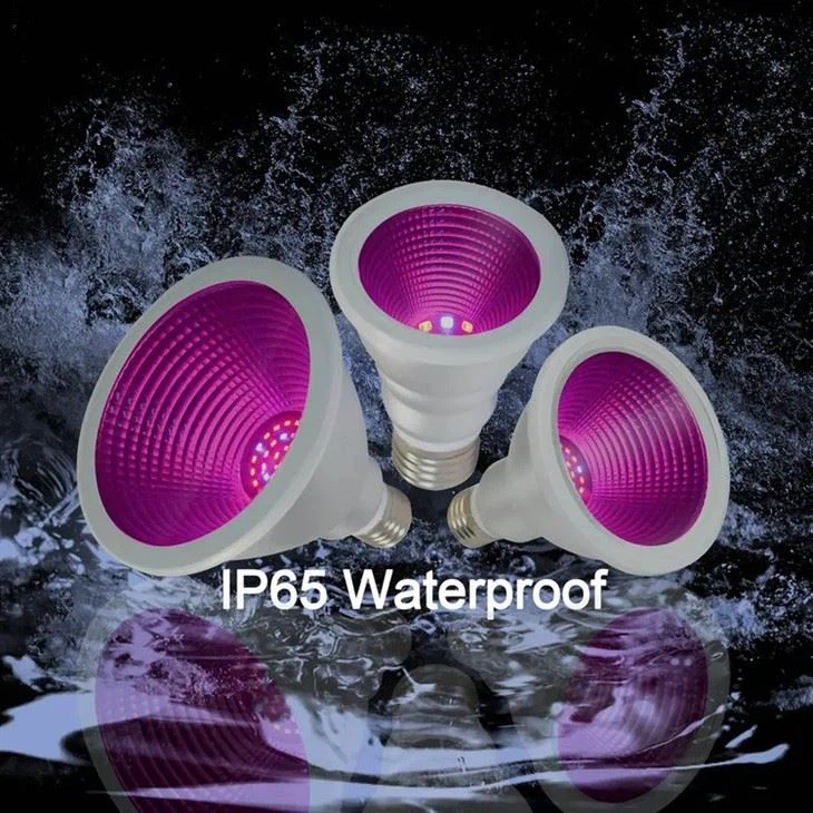 full spectrum new horticulture bulb 1