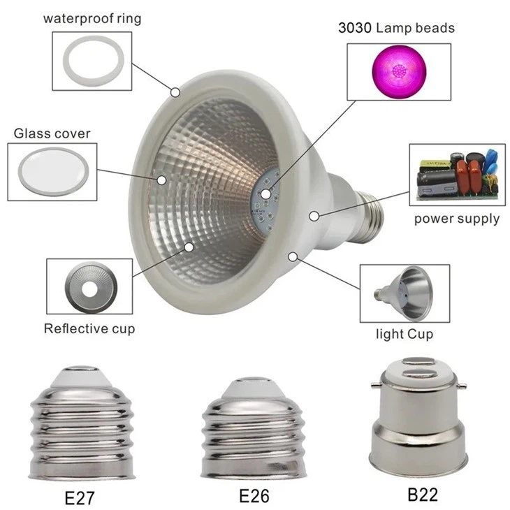 full spectrum new horticulture bulb 3