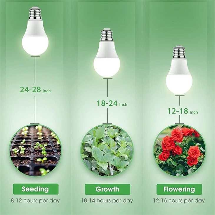 full spectrum light bulbs detail1