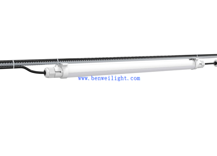 poultry house lighting systems