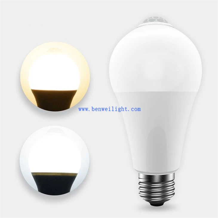 Rechargeable LED Lub Teeb Teeb Nrog Chaw Taws Teeb