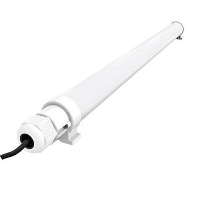 T12 nyuj Shed Lights