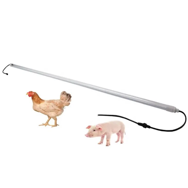LED T8 Waterproof Lub Teeb Tube Rau Nqaij qaib