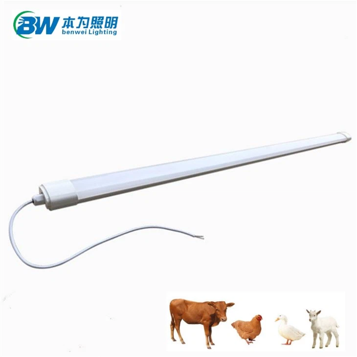 Nqaij qaib LED Tube Teeb Waterproof Dimmable