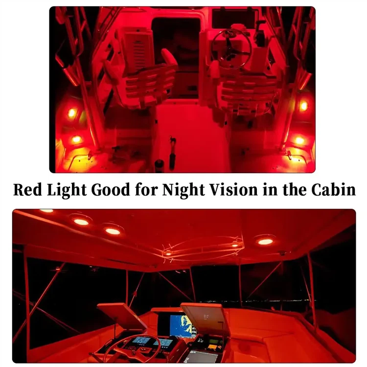 product-750-750 product-750-750