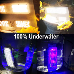 product-250-250