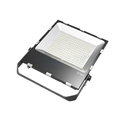 100W LED Dej nyab lub teeb 100W Dej nyab sab nraum zoov 100watt LED Dej nyab teeb