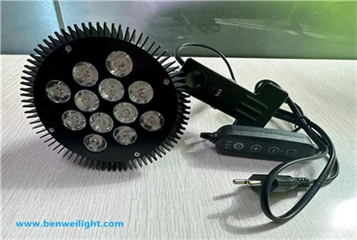 365nm 12W Industrial UV Inspection Teeb - Clip-Mount Rau Precision Fluorescent Detection