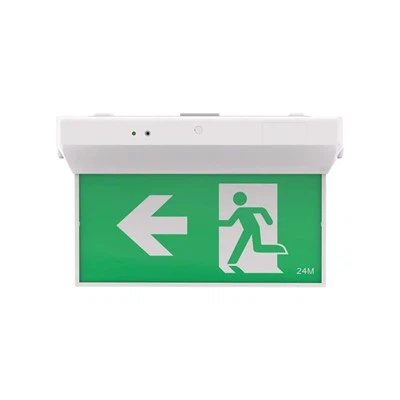 Exported Emergency Escape Lighting Fixtures