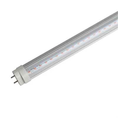 L36W/21-840 DULUX Teeb Fluo 36W 2G11 4P