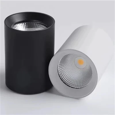 LED nto mounted dowellable