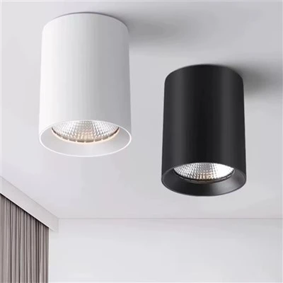 LED Nto Mounted Downlight Dimmable 35W