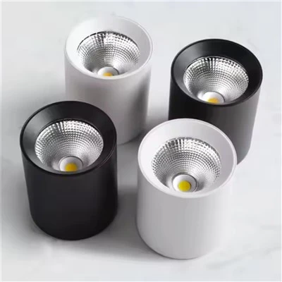 LED Nto Mounted Downlight Dimmable 40W