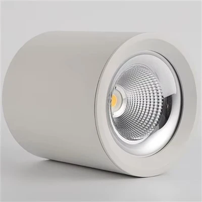 LED Nto Mounted Downlight Dimmable 50W