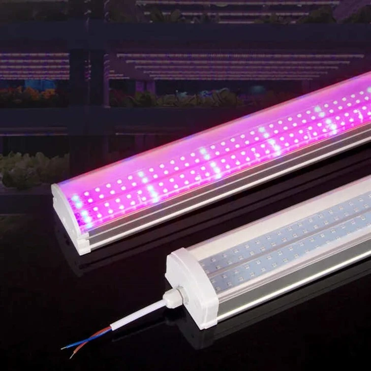 T20 Dimmable Led Loj hlob teeb