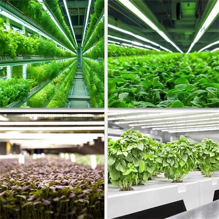 full spectrum grow lights